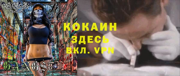твердый Алзамай