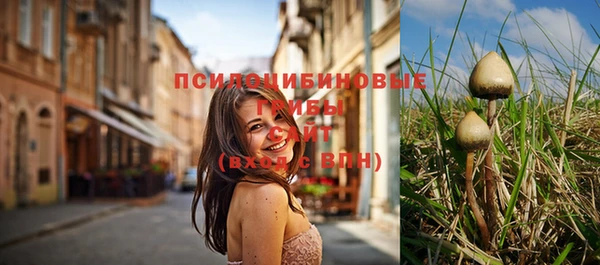 твердый Алзамай
