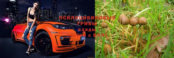 твердый Алзамай