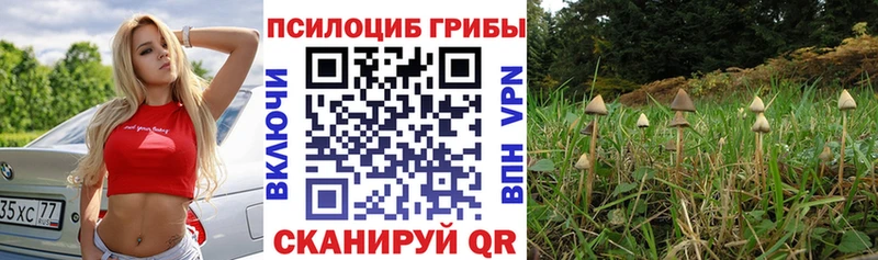 Галлюциногенные грибы мицелий  Лагань 